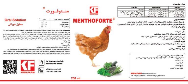نمونه کار طراحی گرافیک